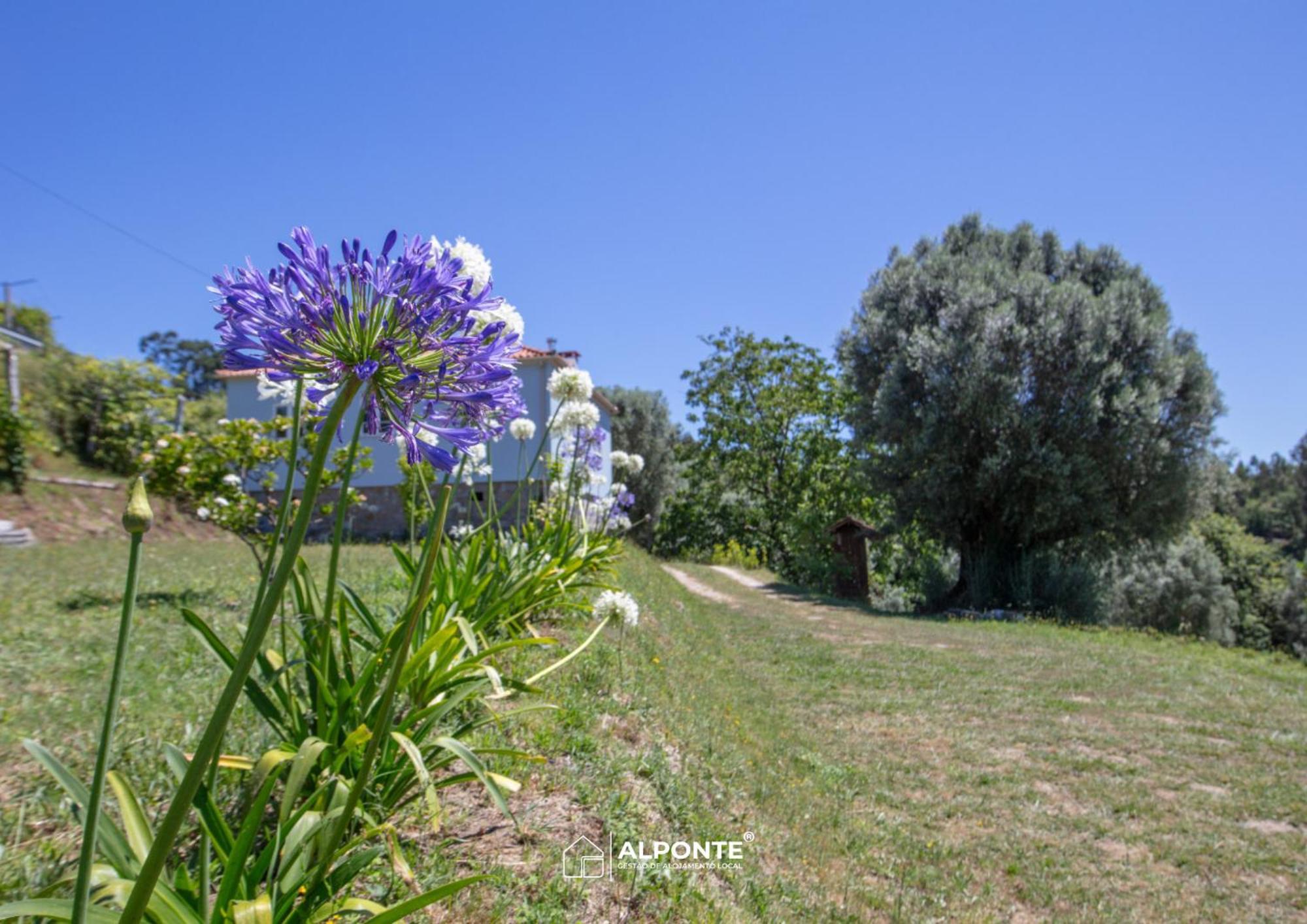 Quinta Da Costeira - Casa Azul Do Limoal By Alponte Villa Arcos de Valdevez Bagian luar foto