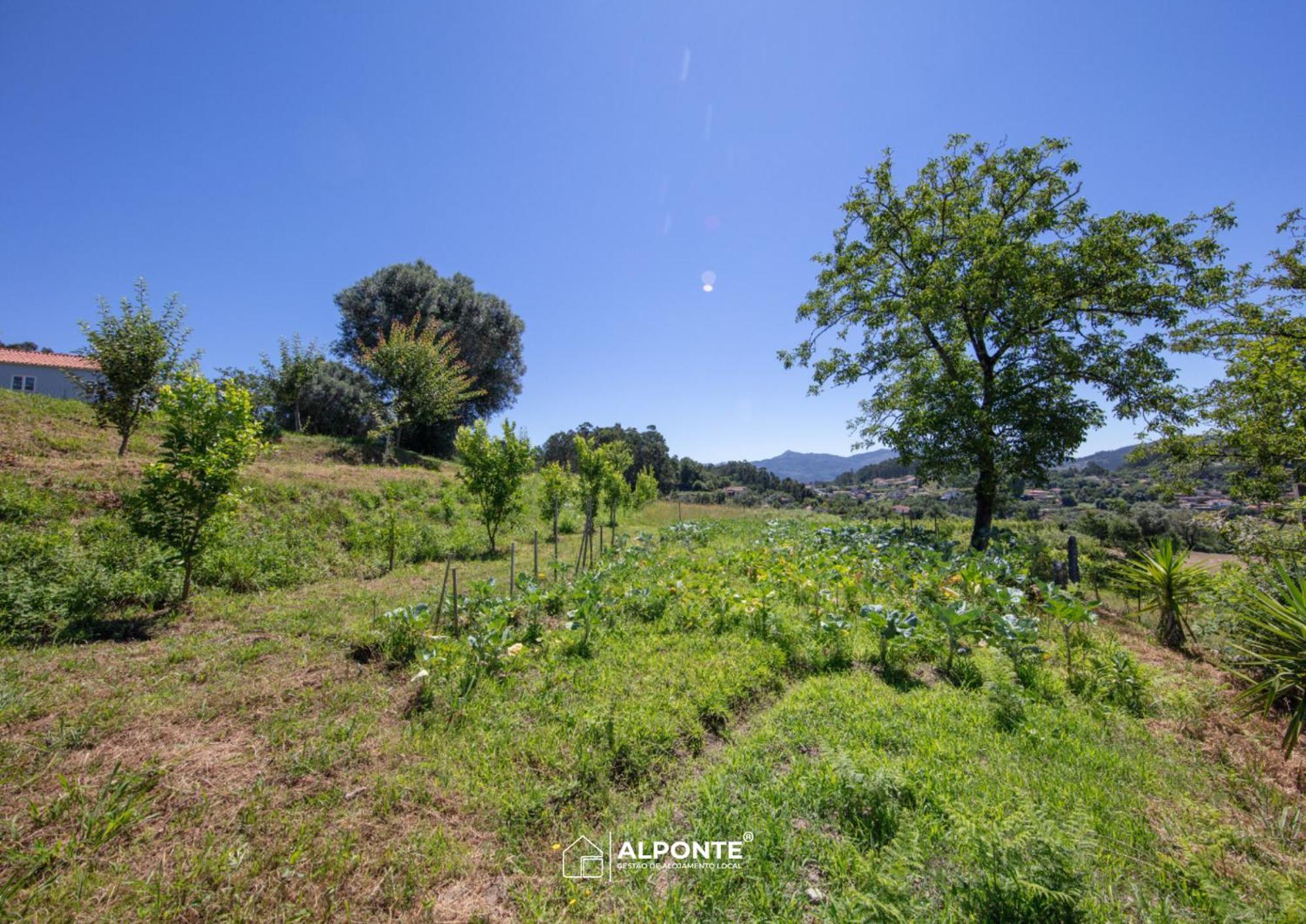 Quinta Da Costeira - Casa Azul Do Limoal By Alponte Villa Arcos de Valdevez Bagian luar foto